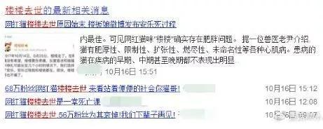 张含韵袁野:张含韵被偷拍裙底，卑微乞求不要蹲着拍，代拍们还有底线吗？