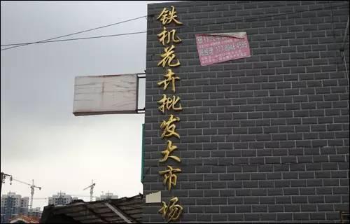 武汉宠物食品批发市场:武汉有专门的花鸟市场吗？