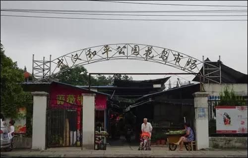 武汉宠物食品批发市场:武汉有专门的花鸟市场吗？