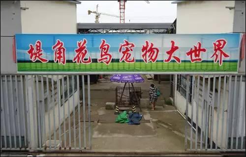 武汉宠物食品批发市场:武汉有专门的花鸟市场吗？
