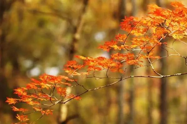 九寨沟在哪,长春附近的“小九寨”在哪里？