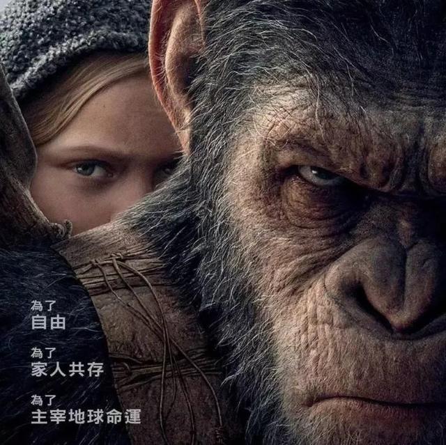 猩猩崛起电影:为什么很多人觉得《猩球崛起3：终极之战》不好看