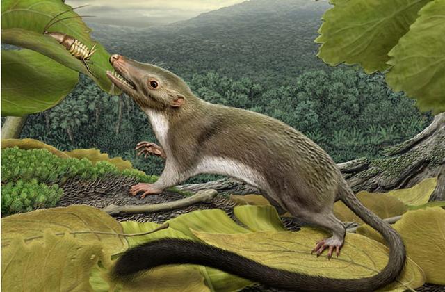 远古时期的动植物身体都非常大如果把人类放到远古时期也会变成巨人吗