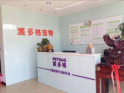 另类宠物店加盟创业计划方案:求大学生创业建议，如何开好一家宠物店呢？ 宠物店加盟渠道网络
