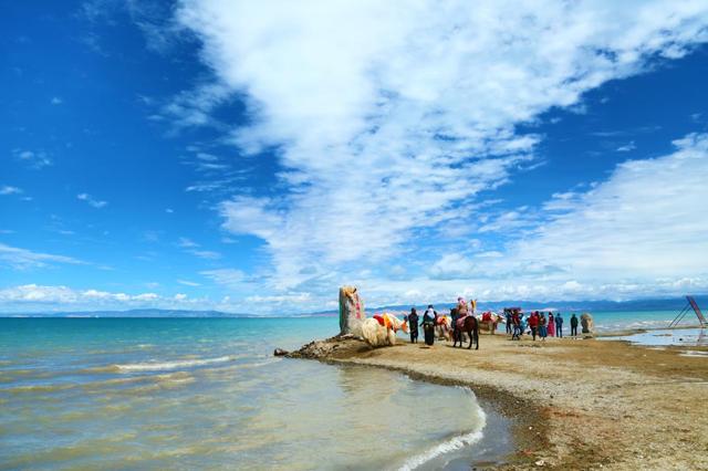 普通秋沙鸭:青海湖是咸水湖还是淡水湖？