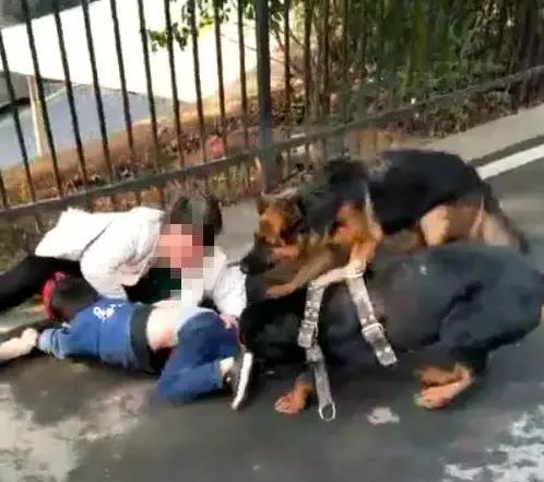 六岁女童被恶狗咬死:名狗撕咬小孩，路人拿工具打狗致狗死，被索赔十多万，你怎么看？