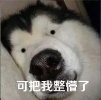 古巨基婚礼:歌婚礼上唱的有意义的歌有什么好的推荐？