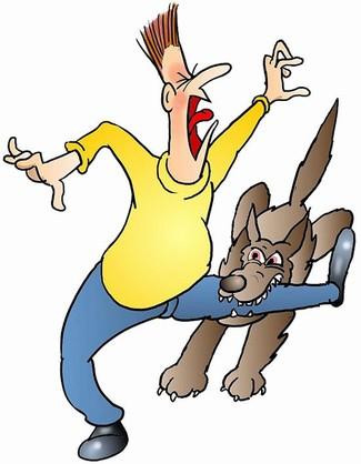 耒阳事件:大家对处死湖南耒阳两只恶犬持什么看法？