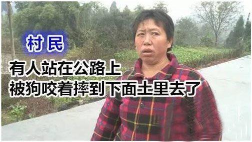 保安遭恶犬攻击视频吓尿了:大学校园有只流浪狗，保安该不该把它打死？ 保安遭恶犬攻击