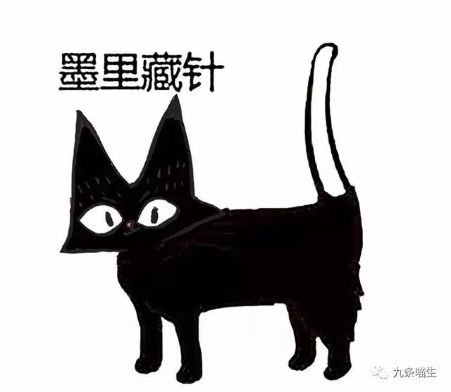 悟空问答- 猫咪花色有哪些？(闭上你的狗嘴的回答，0赞）