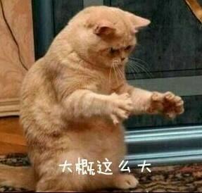 沈阳有多大？