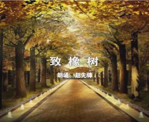 如何赏析《致橡树》？