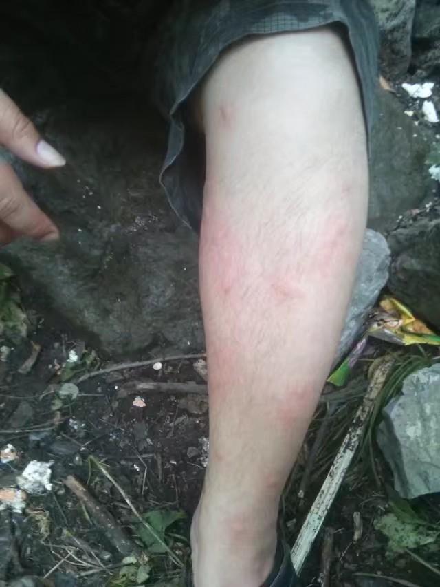 永城高速灵异事件:“灵异事件”其实是人的幻觉吗？为什么世界各地都有故事流传？