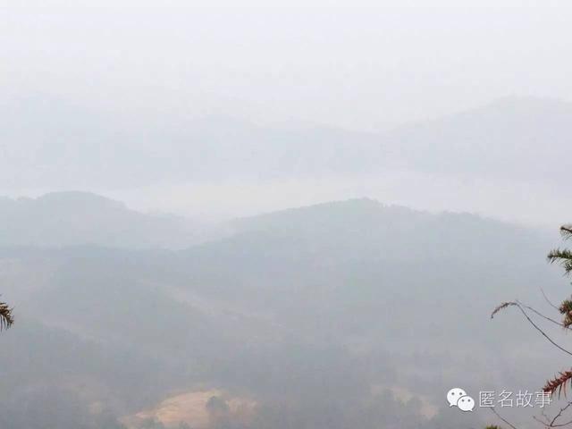 乔布斯死亡时间:iPhone的寿命有几年