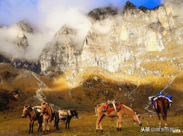 秦岭鳌太线:两当县：禁止在河渠、坑塘等危险水域游泳垂钓, 你怎么看？