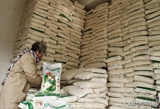 2021秋粮价格是否会上涨，2021年4月水稻价格走势分析，今年水稻价格会不会涨