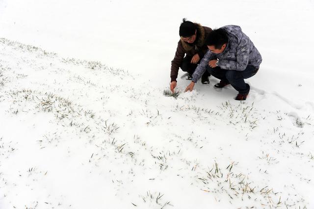 今年冬至是哪一天俗语“冬至一阳生，三九补一冬”是什么意思