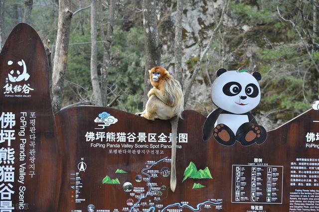 汉中有哪些必去的旅游景点？
