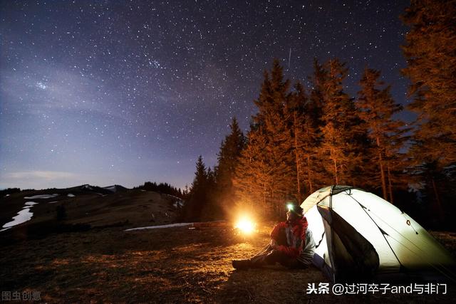 阿拉斯加蚊子之旅:如果蚊子被灭绝了，对地球有何影响？