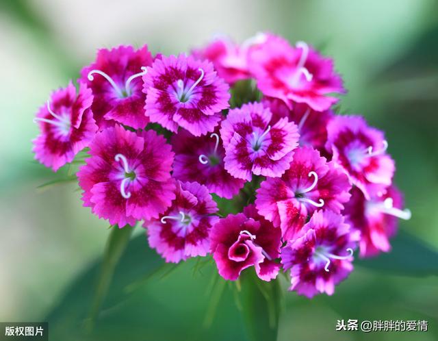 带有人生哲理的句子:多搞点幽默又富含人生哲理的句子来!谢谢？