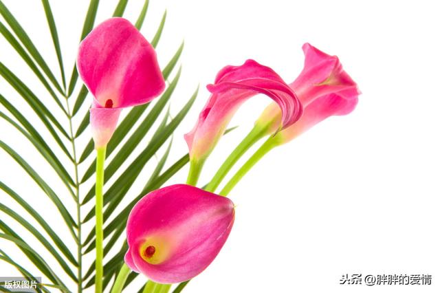 带有人生哲理的句子:多搞点幽默又富含人生哲理的句子来!谢谢？