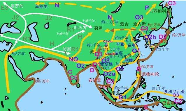 罗德西亚人:人类到底是不是从人猿进化而来的？如果不是，请说出你的看法？