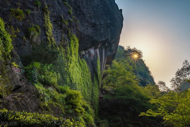 武夷山市:武夷山旅游的感受是什么？