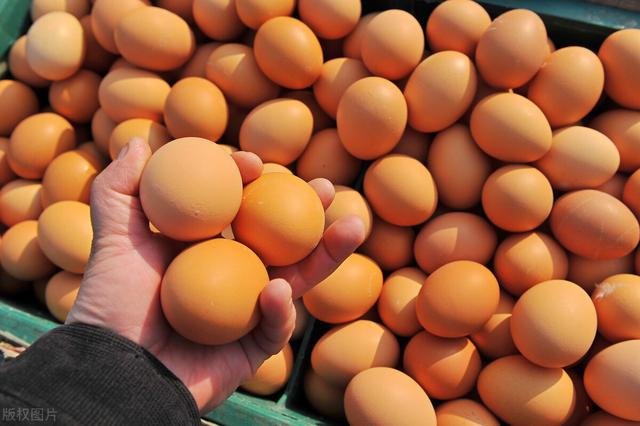 白皮鸡蛋和红皮鸡蛋的区别，白皮鸡蛋和红皮鸡蛋的营养价值有什么区别哪种更好吃