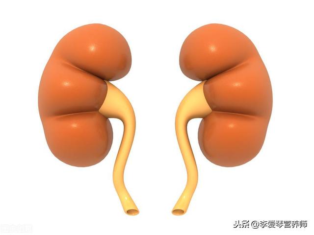 补肾吃什么比较好？