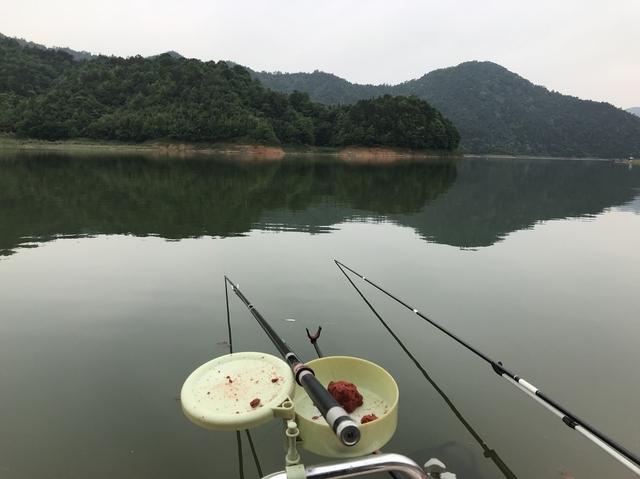 台湾软骨鲫鱼:去水库钓一天鲫鱼为主，用什么打窝怎么打还是抽饵？