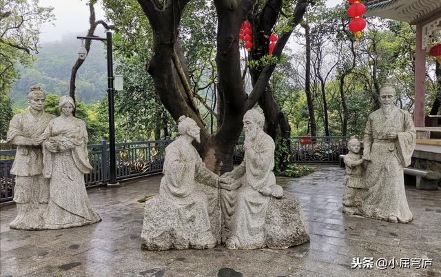 郭晏青:李可推荐的《圆运动的古中医学》怎么样？