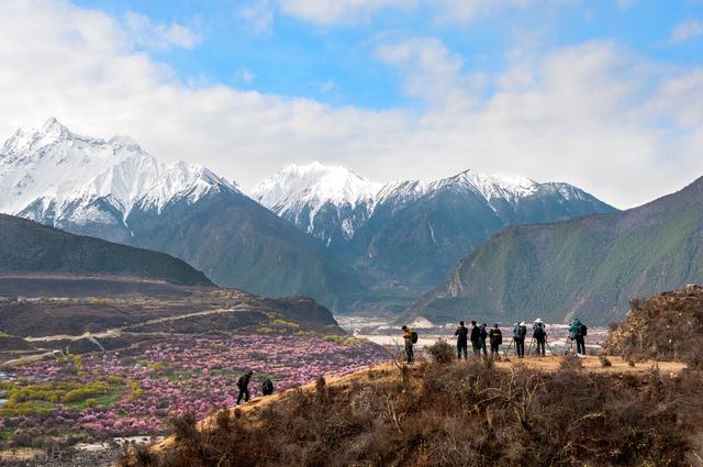 心灵奇旅有彩蛋吗，心灵奇旅有彩蛋吗片尾