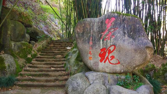 武夷山市:武夷山旅游的感受是什么？