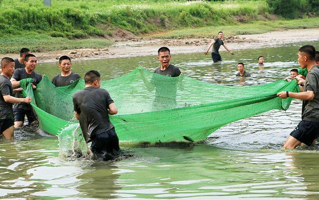 湄公河巨蛇之谜，为什么农村老人说再厉害的蛇也不好吃黄鳝