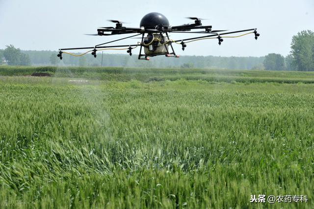 扯猫尾巴教育好吗:种了1500亩水稻，请问用无人飞机给水稻喷药靠谱吗？