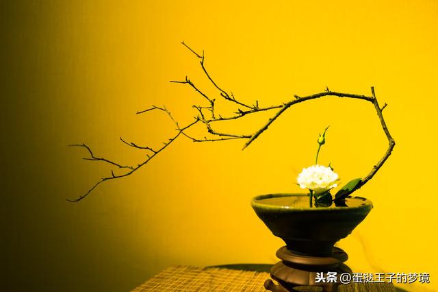 蔡锷小凤仙:《知音》电影中，小凤仙怎么变成了蔡锷将军的知音了呢？