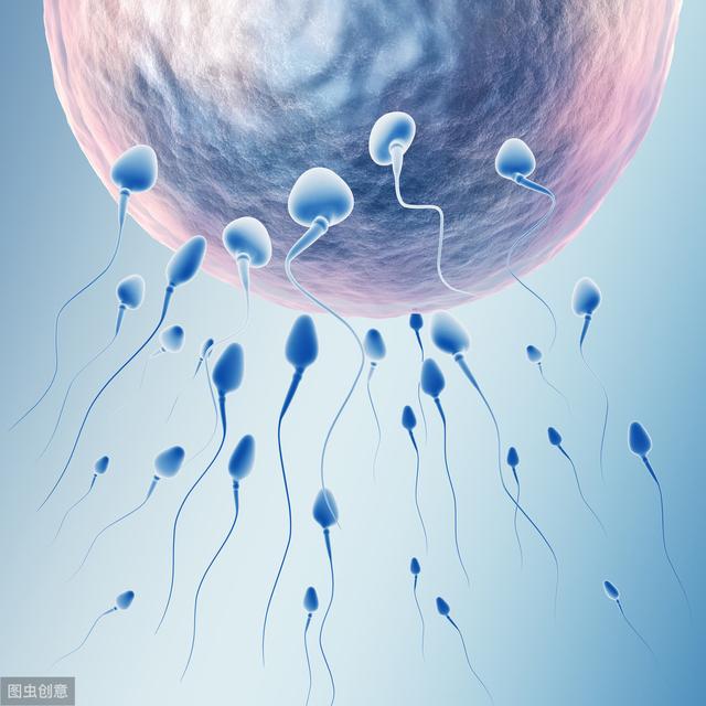壮阳鞭图片，备孕男性如何提高精子质量？