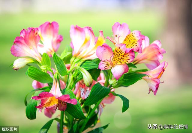带有人生哲理的句子:多搞点幽默又富含人生哲理的句子来!谢谢？