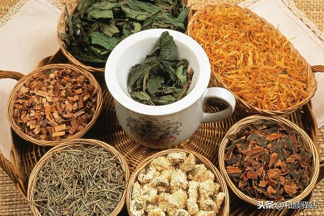 公丁香茶的功效与作用,丁香茶和丁香红茶有什么区别吗？