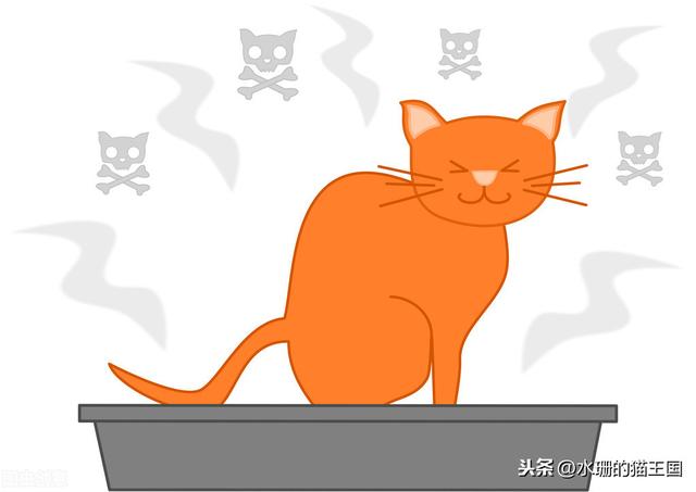 踩到猫了中文版:踩到猫了中文版歌词 猫为什么会把粑粑弄脚上？