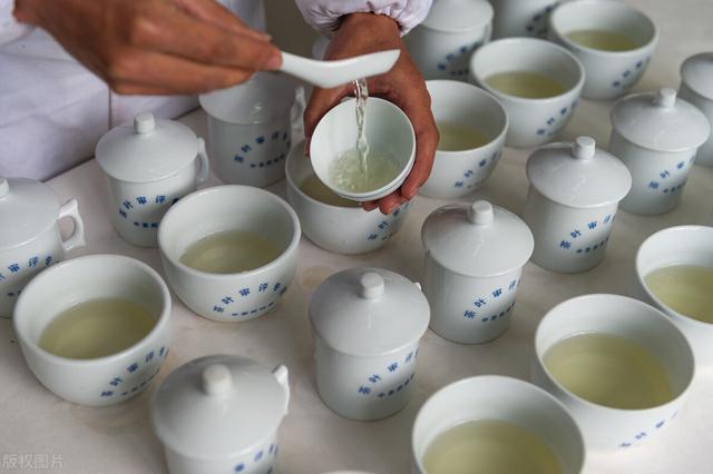 绿茶,红茶,白茶,黄茶,青茶,黑茶,还有什么茶？