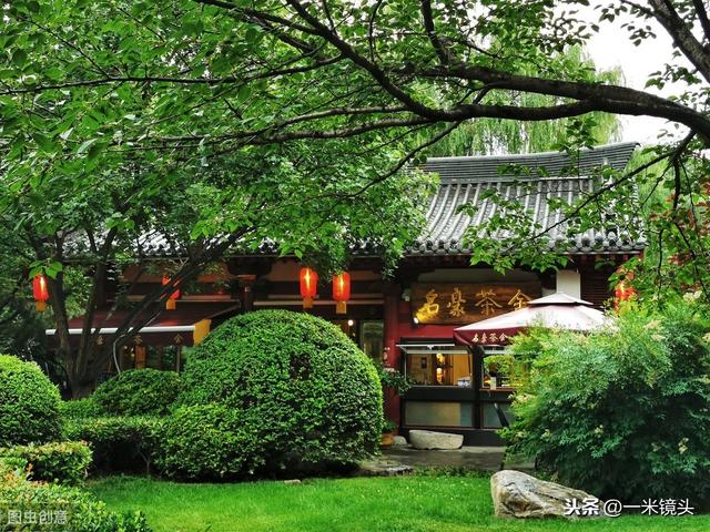 浪胃仙:为什么大胃王浪胃仙这么能吃？
