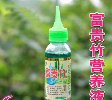 富贵竹的种植方法图解:怎样大规模种植富贵竹 无根的富贵竹，怎么才能够快速生根、快速长新叶？