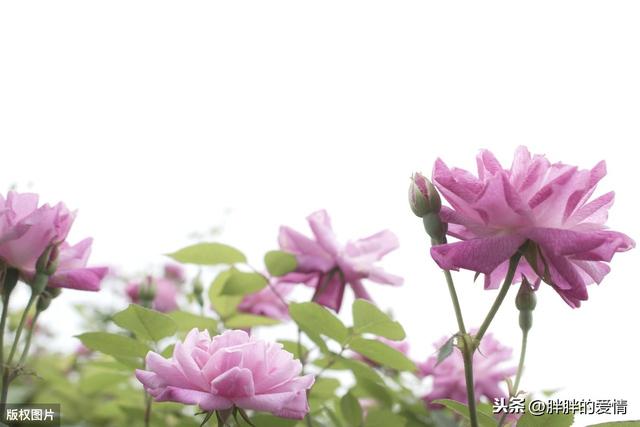 带有人生哲理的句子:多搞点幽默又富含人生哲理的句子来!谢谢？