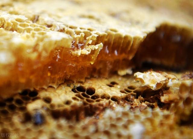 没有蜜蜂水果会消失吗，蜂蜜被拿走，蜜蜂会不会被气死