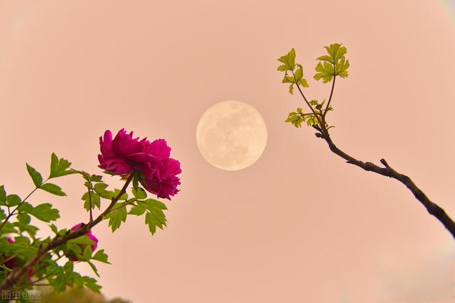你曾写过哪些难忘的诗词？插图21