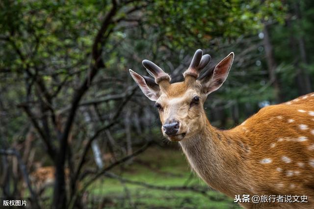 红色满洲里:北京自驾阿尔山满洲里七日游怎么安排