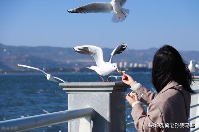 今日巴西夫妇绿水蚺:节目《侣行》中的夫妻，现在怎么样了？