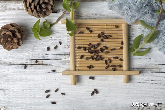 郭晏青:李可推荐的《圆运动的古中医学》怎么样？