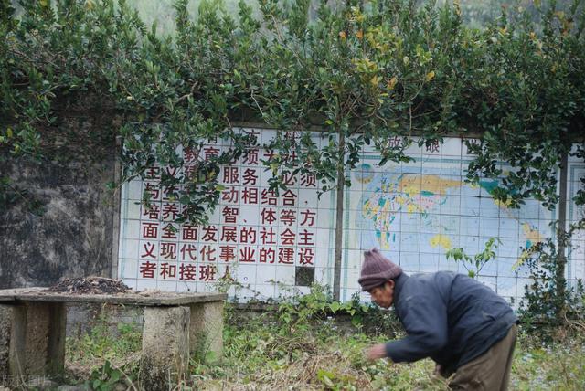蓝翔百人跨省打架:在山东蓝翔学习过是种什么样的体验